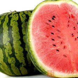 吃瓜禁拽,一场关于理智与情感的较量