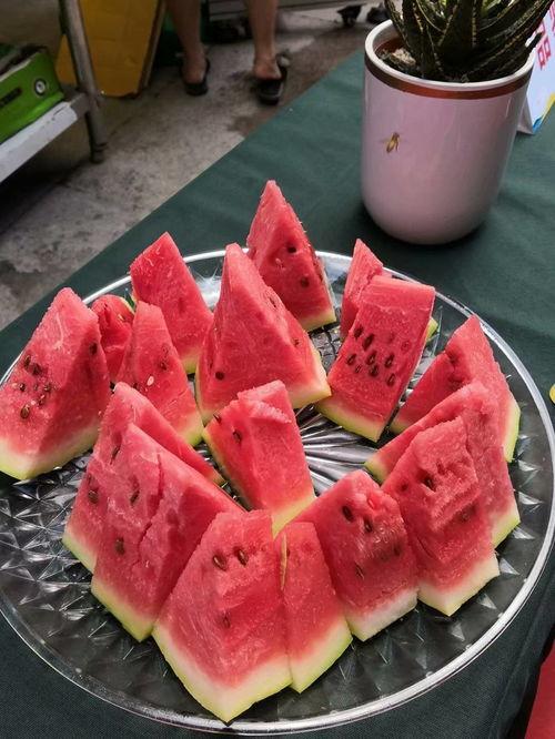 蓝桥吃瓜王,揭秘网络红人的瓜田奇遇