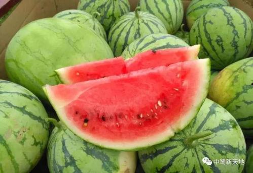 暗黑吃瓜 今日热门,揭秘今日热门事件背后的真相与争议