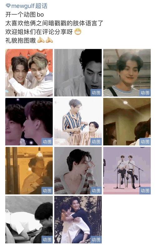 吃瓜cp同人文,吃瓜cp的甜蜜日常