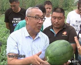 美国博士吃瓜视频,揭秘校园生活趣味瞬间