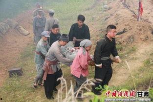 成县吃瓜事件始末,一场网络舆论的风波与反思